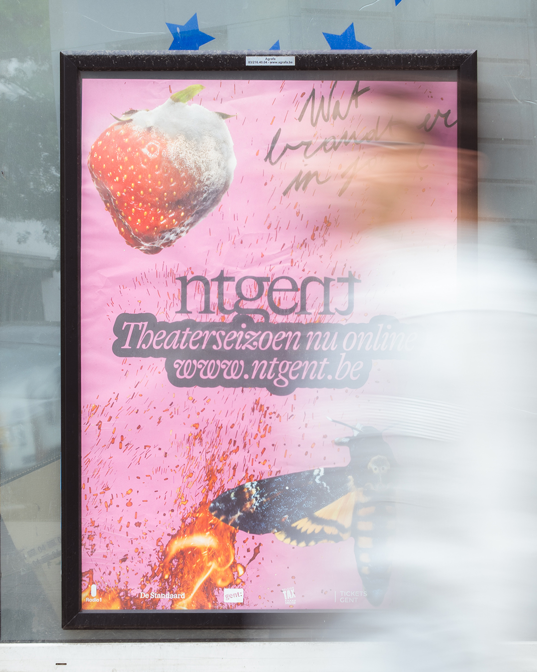 NTGENT book